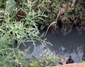 Screenshot_20260120_115408.jpg