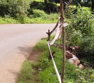 IMG_20260713_220758